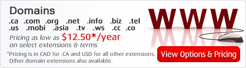 Domains - View Options and Pricing