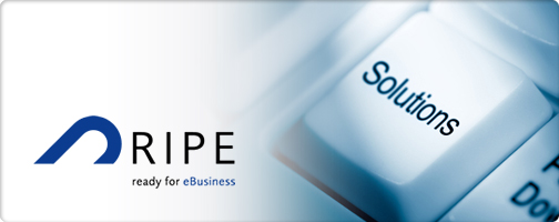 Development Services by RIPE B2B Inc.