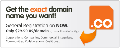 .CO Domain Name