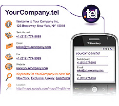 Example Company .TEL Domain Name