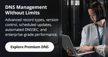 Premium DNS