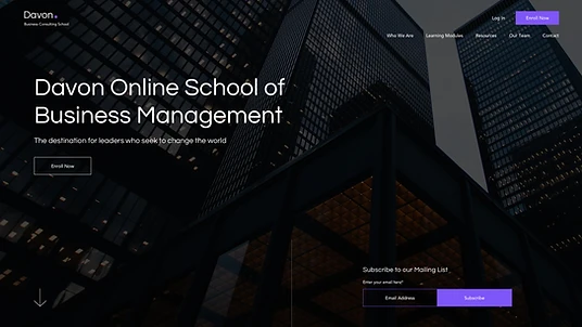 Online business consulting school